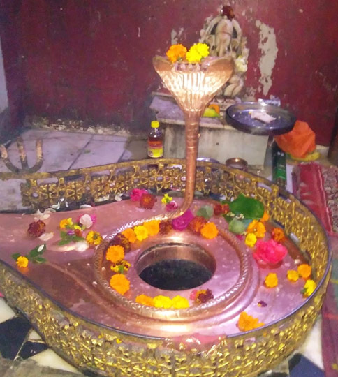 शिव कालेश्वर महादेव मंदिर ज्वालाजी मंदिर