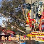 Sri Simsa Mata Temple in Mandi Himachal Pradesh