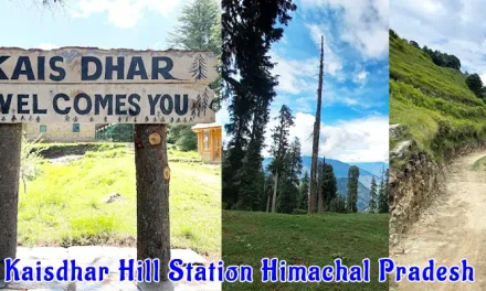 कैस धार हिमाचल: प्रकृति प्रेमियों के लिए एक अनदेखा हिल स्टेशन