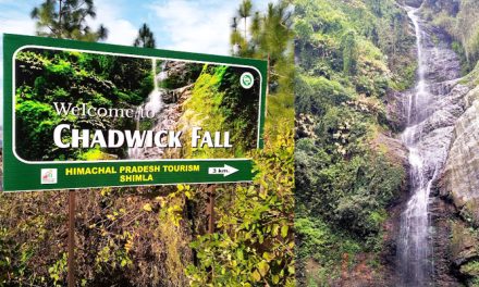 The Beautiful Chadwick Falls in Shimla – A Peaceful Nature Spot