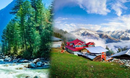Chail – The Peaceful Royal Retreat Hidden Near Shimla