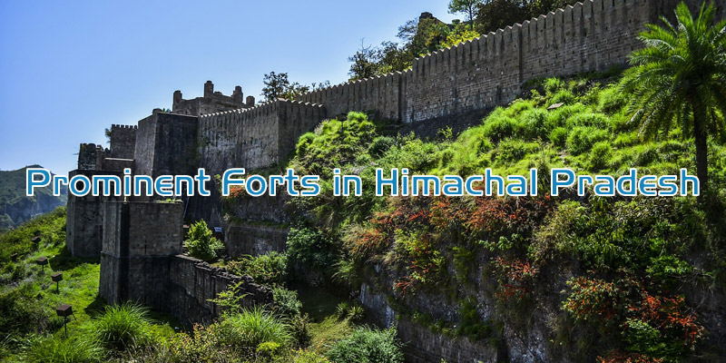 Famous Forts in Himachal Pradesh