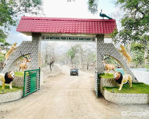 Gir National Park, Gir Forest National Park, Gir National Park